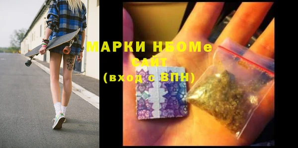 прущие грибы Надым