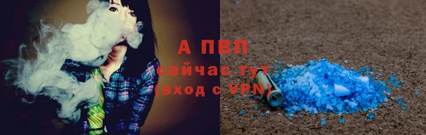 прущие грибы Надым