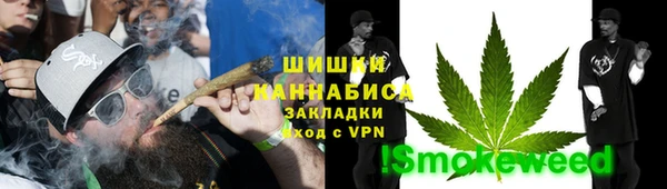 прущие грибы Надым