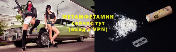 прущие грибы Надым