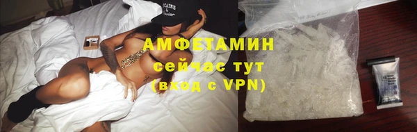 прущие грибы Надым
