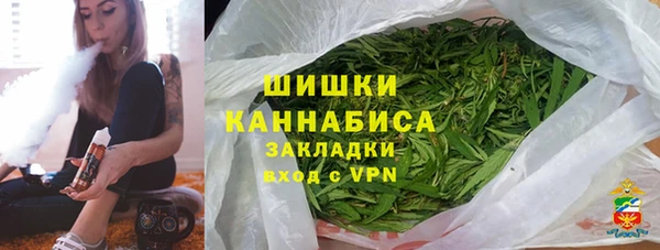 прущие грибы Михайлов