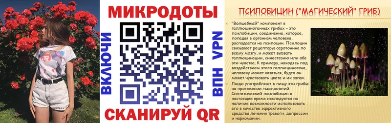 KRAKEN зеркало  Катайск  Псилоцибиновые грибы GOLDEN TEACHER 