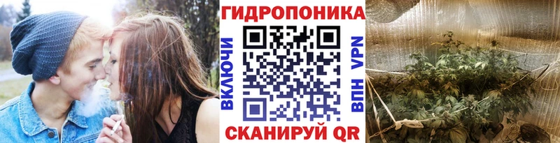 Бошки Шишки ГИДРОПОН  Катайск 